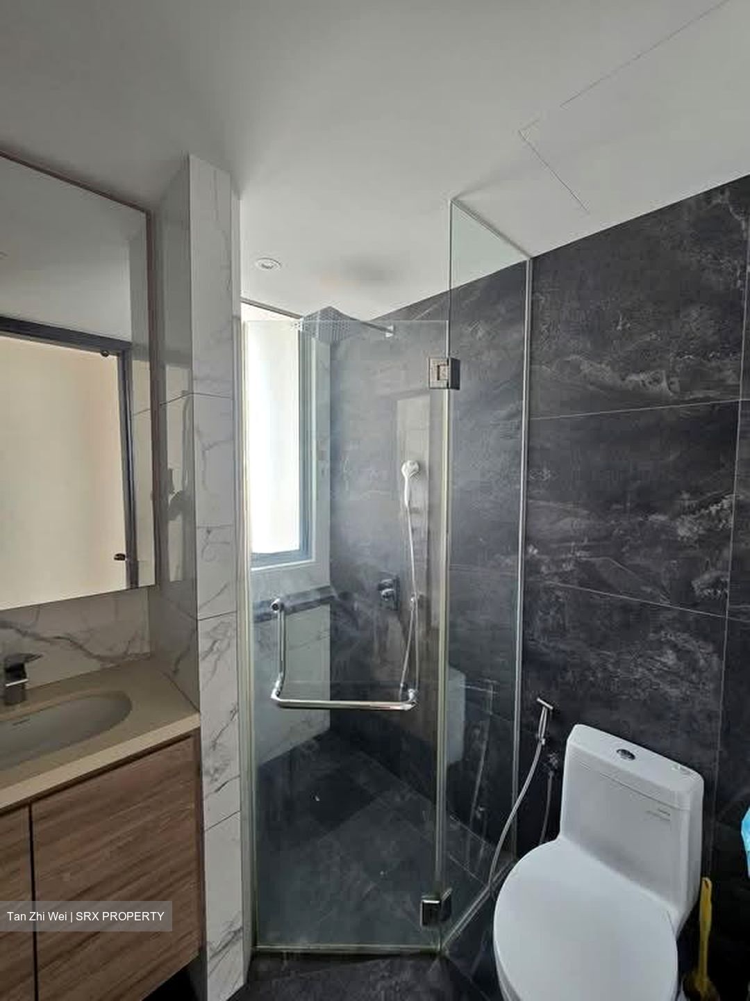 The Verte (D15), Apartment #606430711